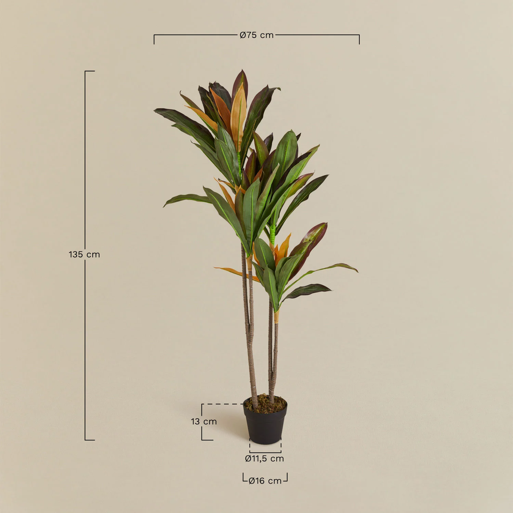 UV HOME Decorative Artificial Plant Dracaena