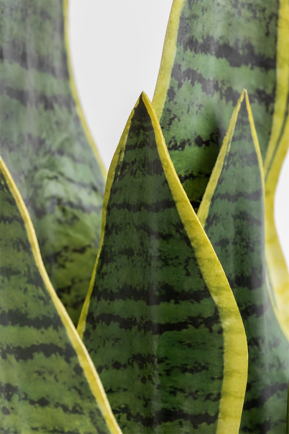 UV HOME Decorative Artificial Plant Sansevieria