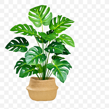 UV HOME – 40-130 cm (51.18 in) Artificial Monstera Plant