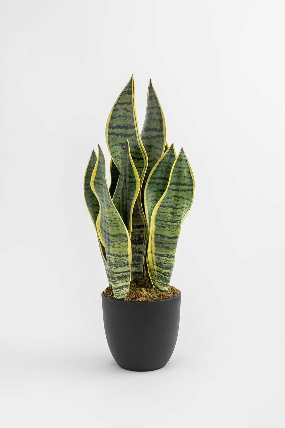 UV HOME Decorative Artificial Plant Sansevieria