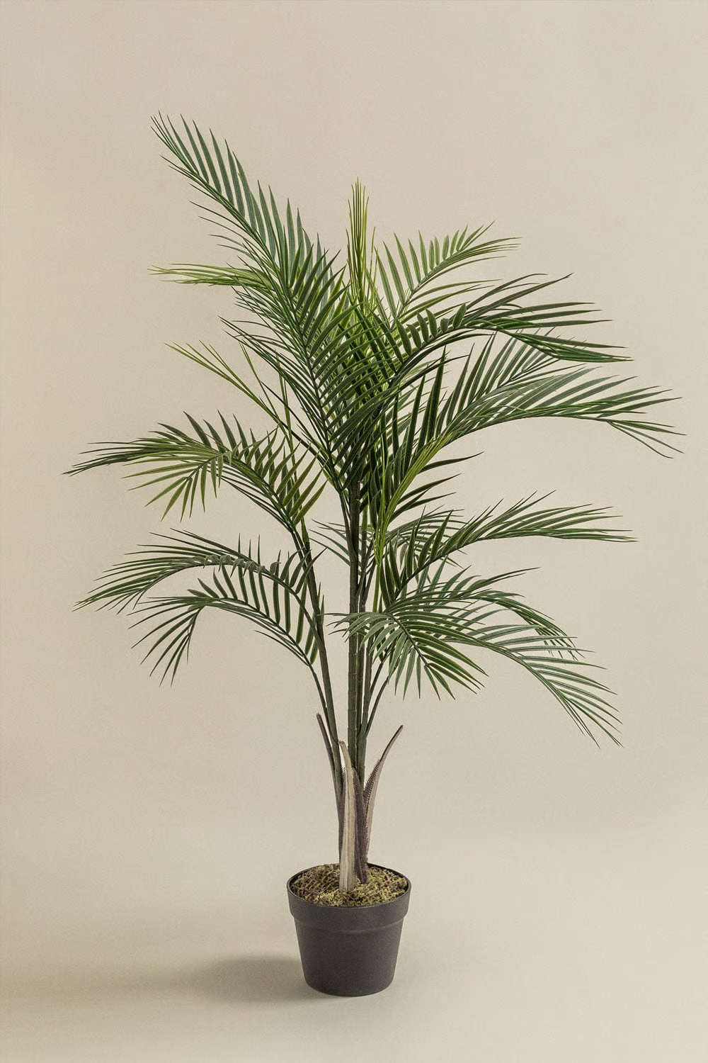 UV HOME Decorative Artificial Plant  Dwarf Palm