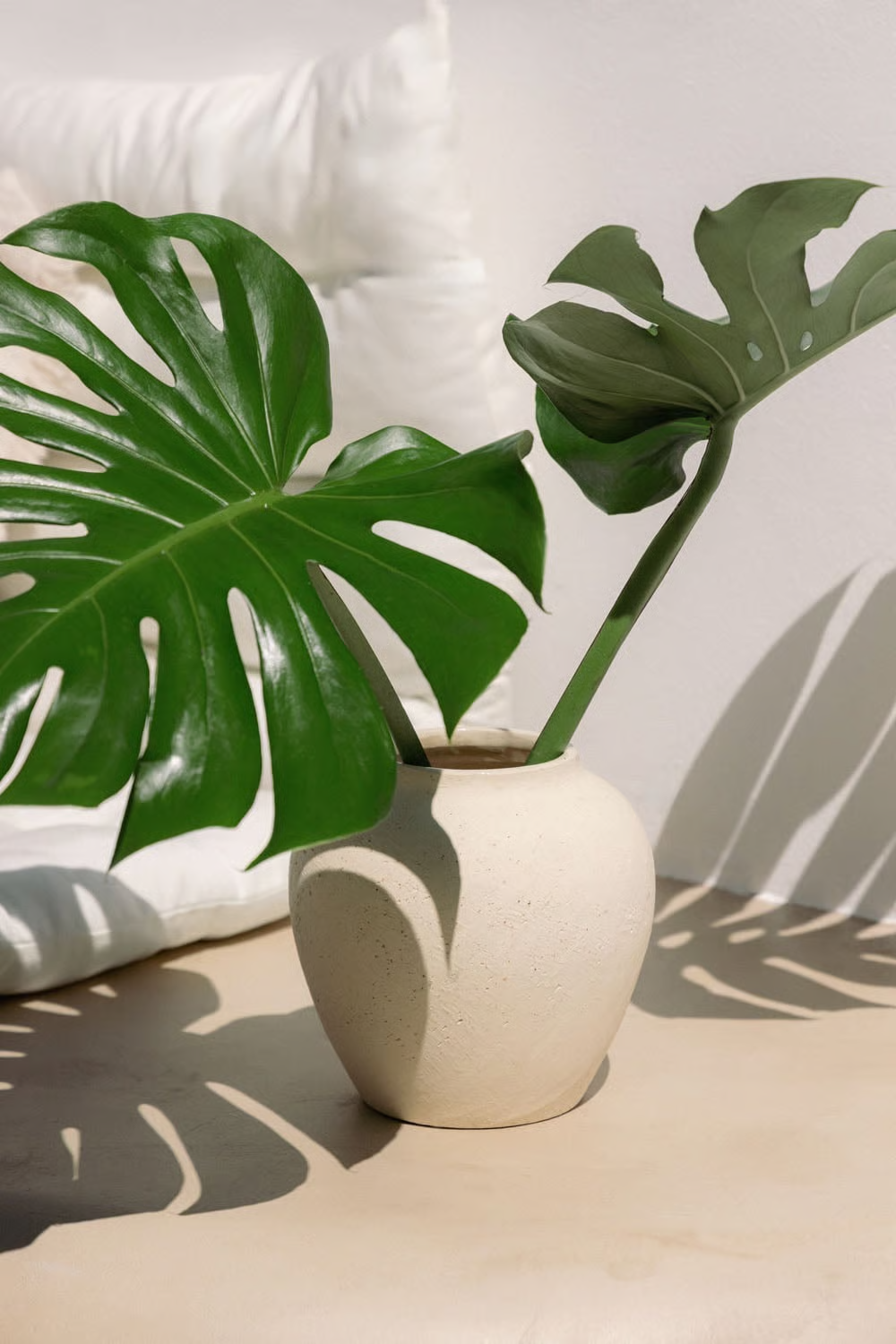 UV HOME Bronte Ceramic Vase
