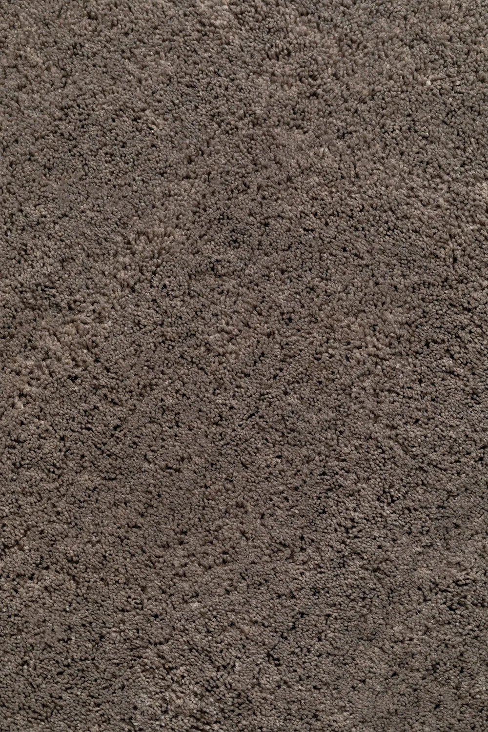 UV Home Daroca Polyester Rectangular Rug