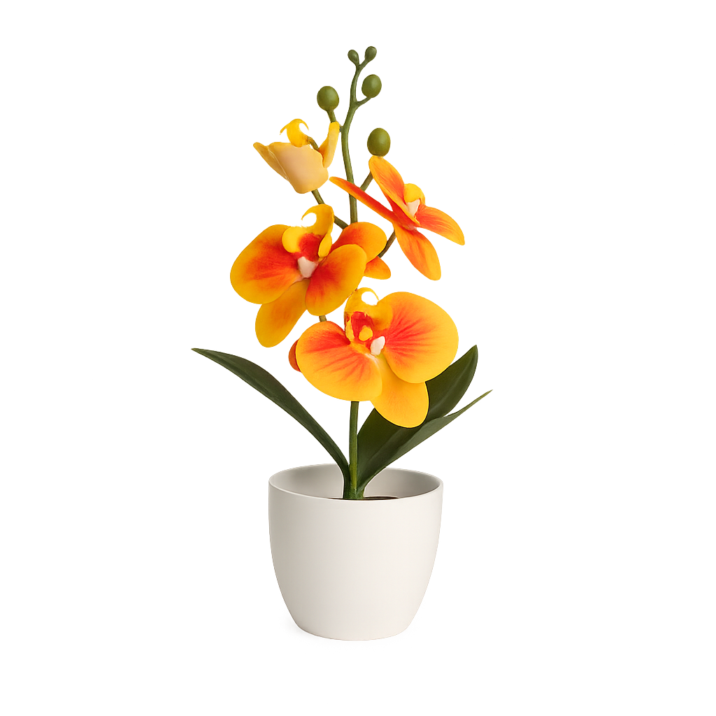 UV HOME – Elegant White Phalaenopsis Orchid in Ceramic Pot