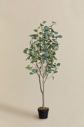 UV HOME Decorative Artificial Plant  Eucalyptus