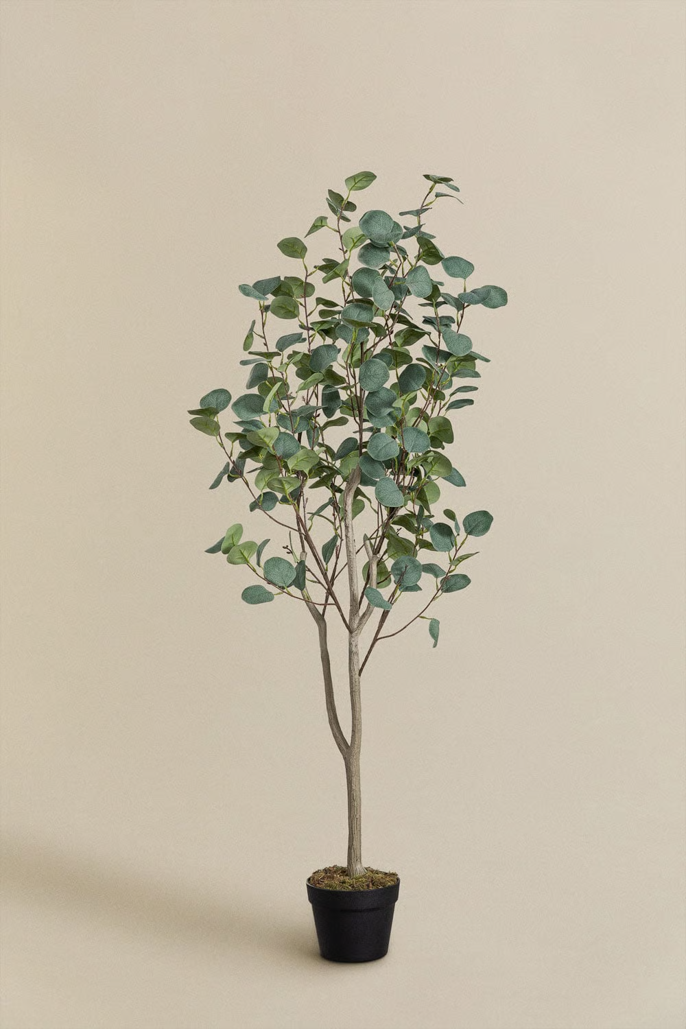 UV HOME Decorative Artificial Plant  Eucalyptus