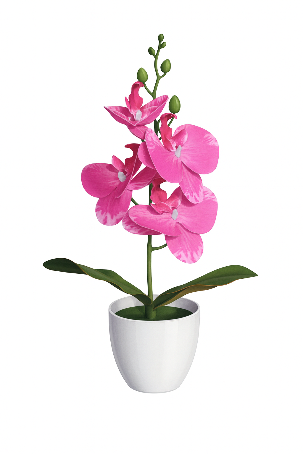 UV HOME – Elegant White Phalaenopsis Orchid in Ceramic Pot