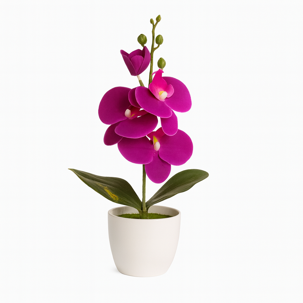 UV HOME – Elegant White Phalaenopsis Orchid in Ceramic Pot