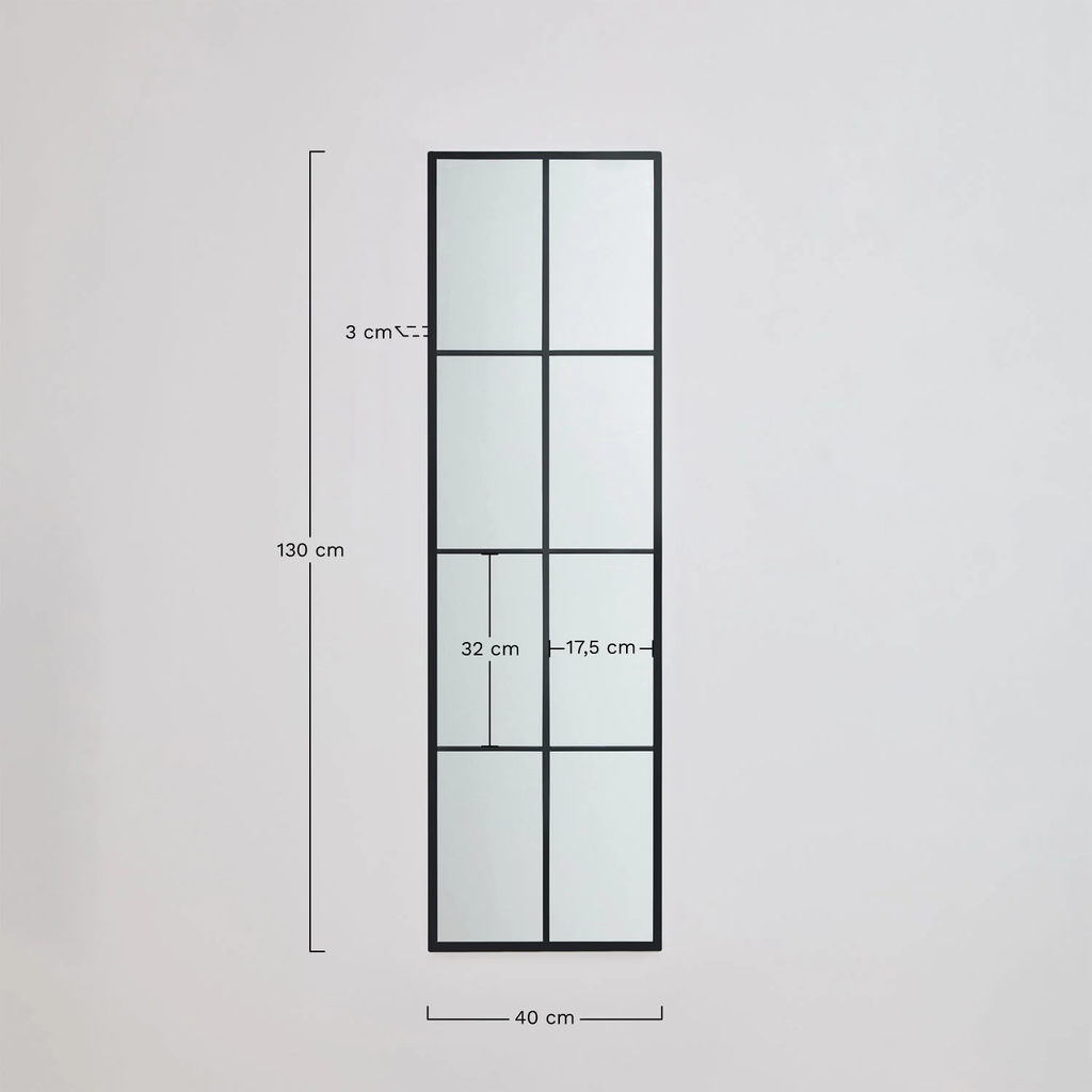 Rania Rectangular Wall Mirror with Window Effect 40 x 130 cm (Metal)