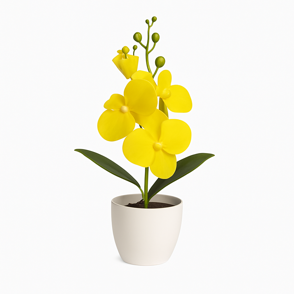UV HOME – Elegant White Phalaenopsis Orchid in Ceramic Pot