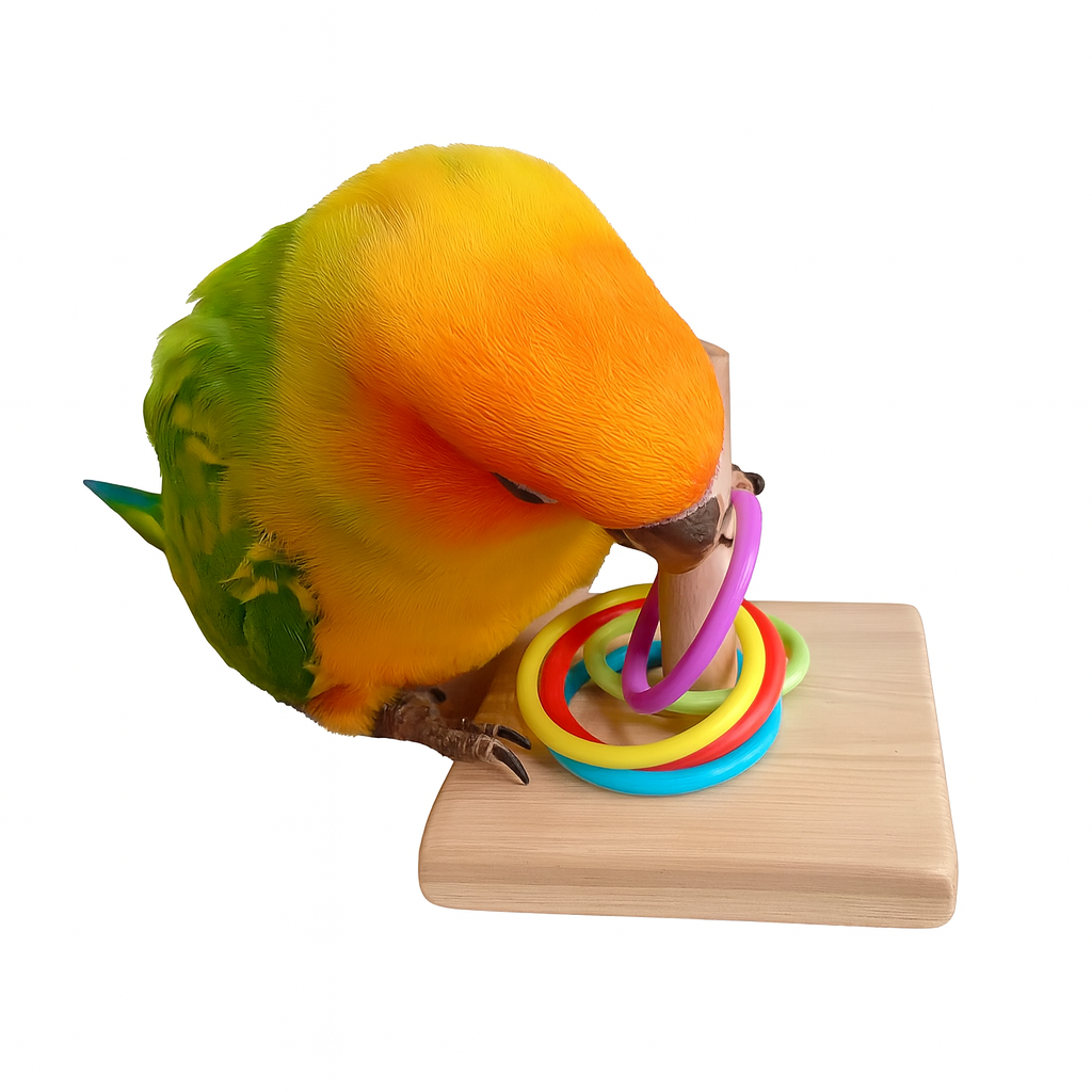 UV HOME Bird Training Ring Stacker Toy