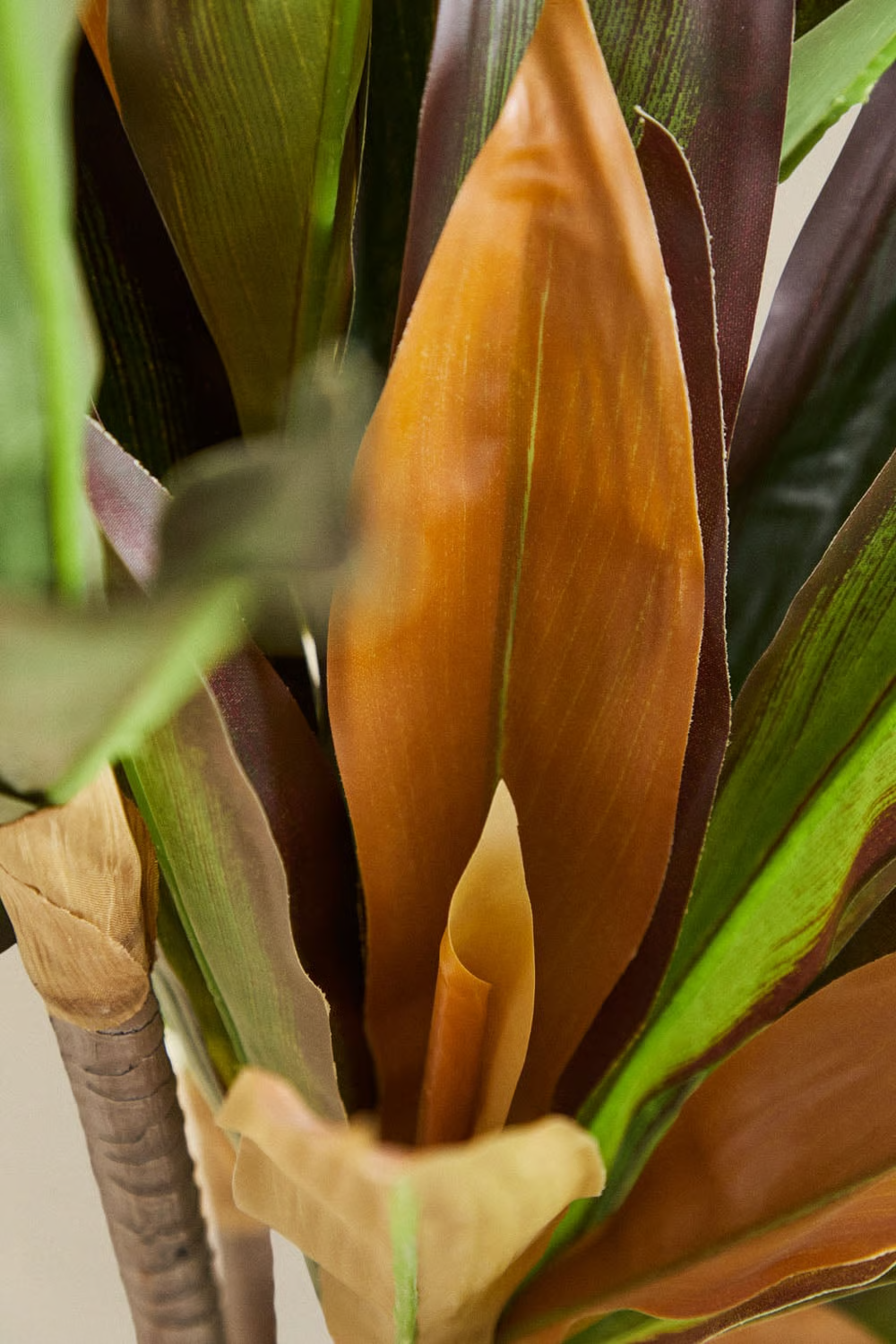 UV HOME Decorative Artificial Plant Dracaena