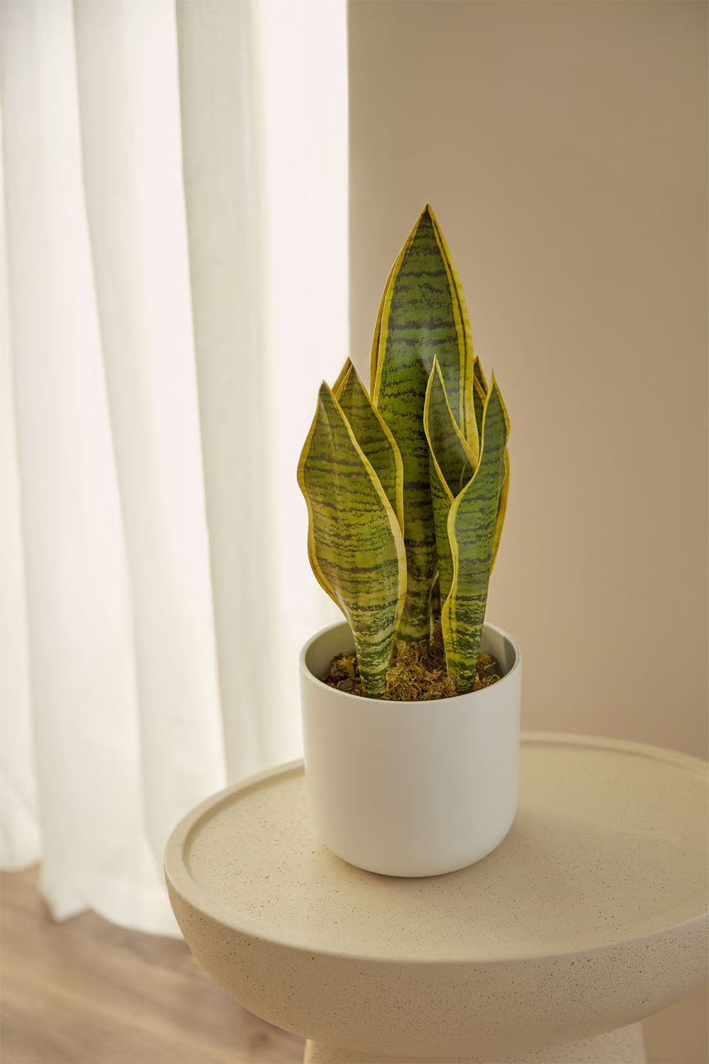 UV HOME Decorative Artificial Plant Sansevieria