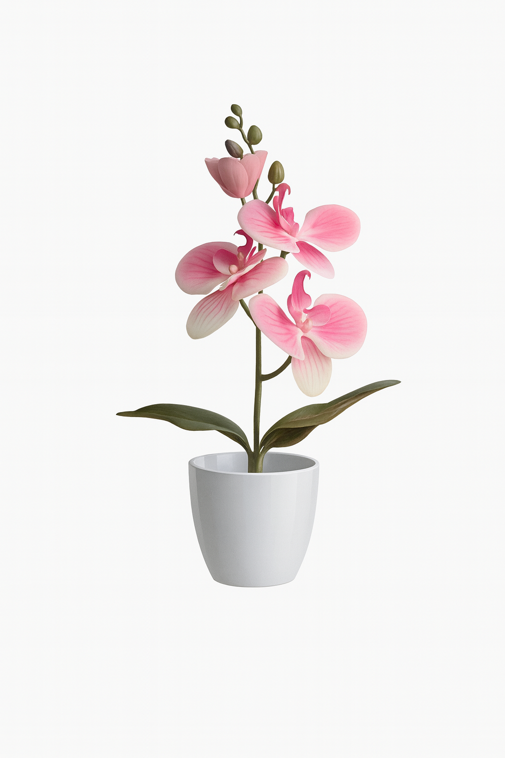 UV HOME – Elegant White Phalaenopsis Orchid in Ceramic Pot