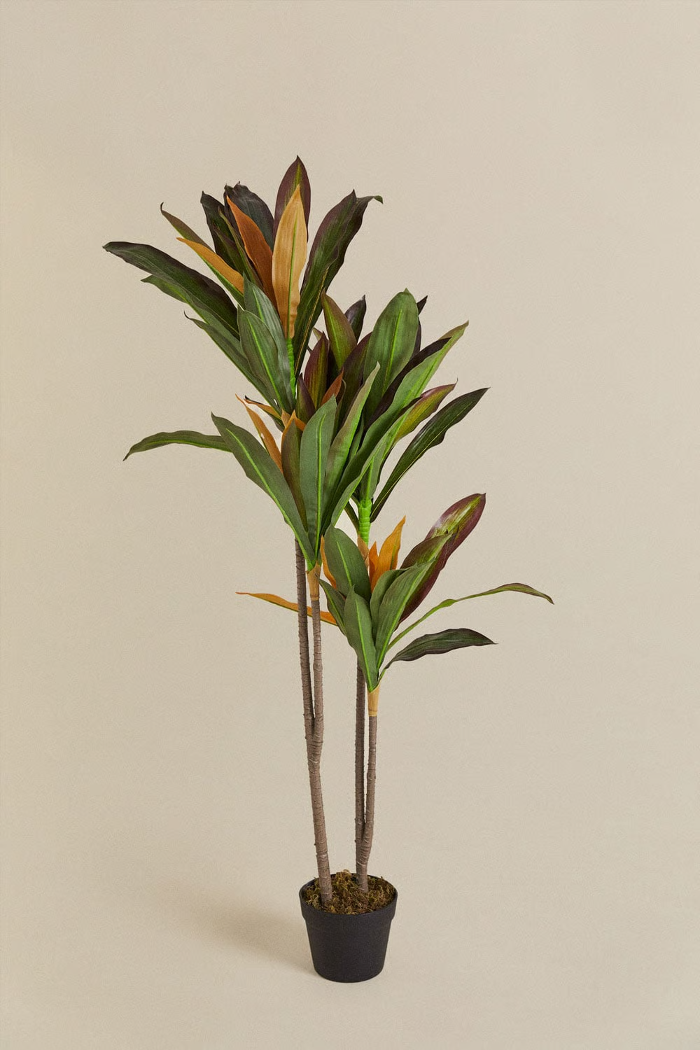 UV HOME Decorative Artificial Plant Dracaena