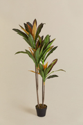UV HOME Decorative Artificial Plant Dracaena